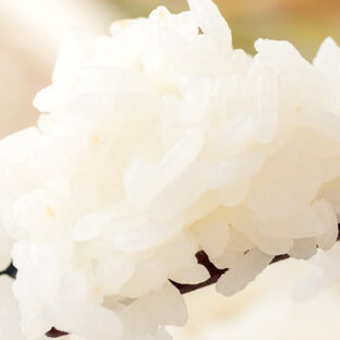 小さな米農家2525ひとときのご飯の保存方法