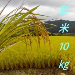 久万高原清流米基準　新米(コシヒカリ)10㎏　送料込み