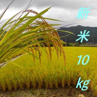久万高原清流米基準　新米(コシヒカリ)10㎏　送料込み