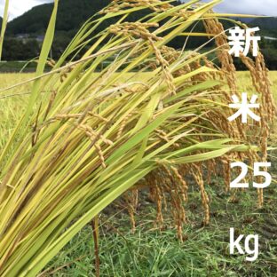 久万高原清流米基準　新米(コシヒカリ)25㎏　送料込み