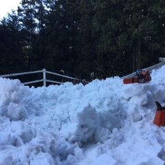 令和5年 よろしくお願いします