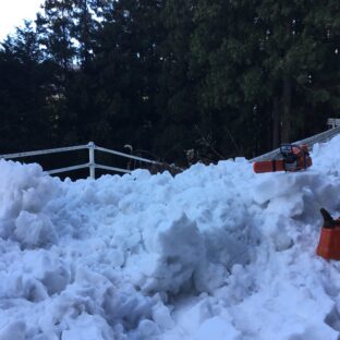 令和5年 よろしくお願いします